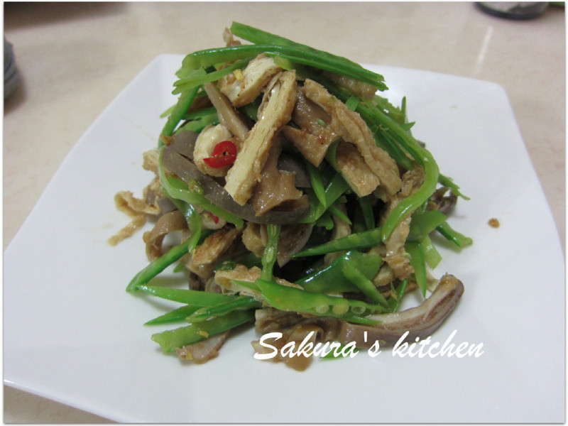 ɳ������˿������