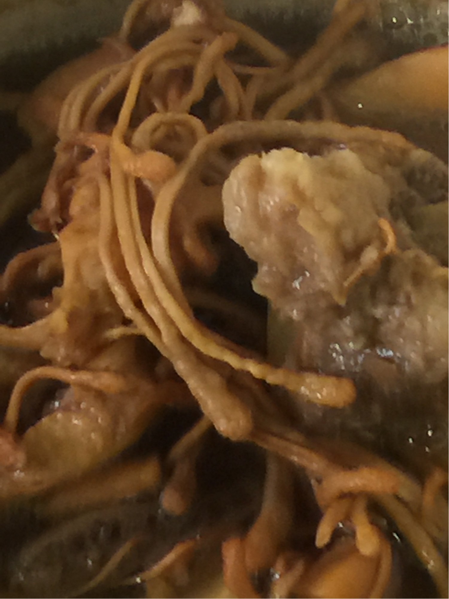 �x�ݻ�������������