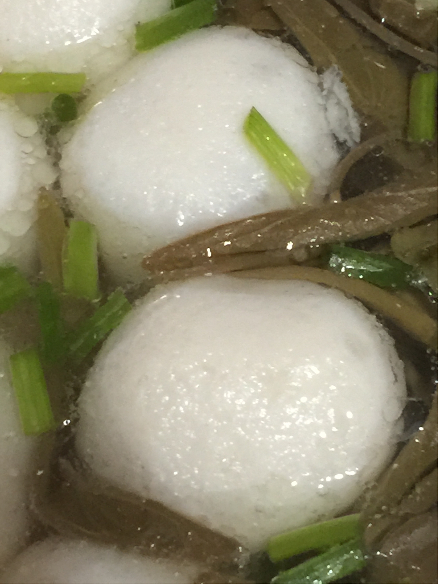 ݻ�����������