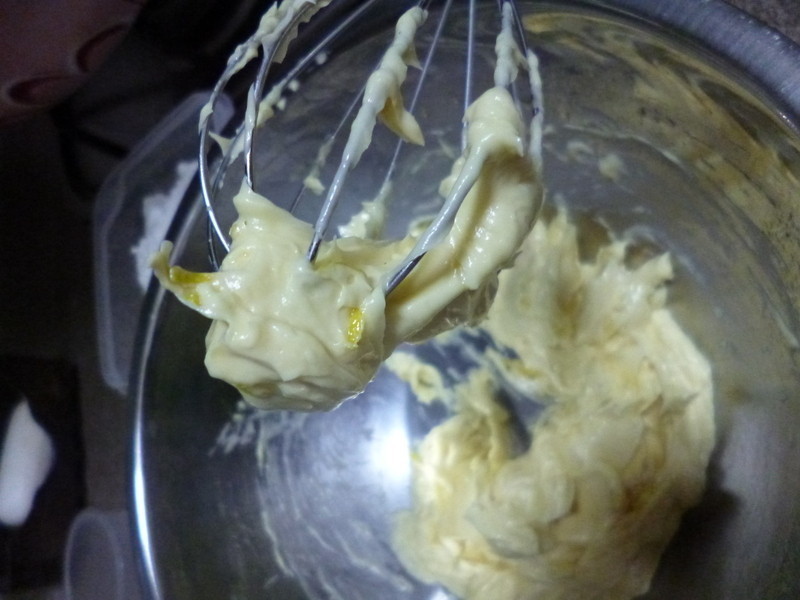 ����ѩ�������