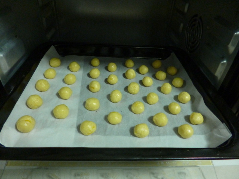 ����ѩ�������