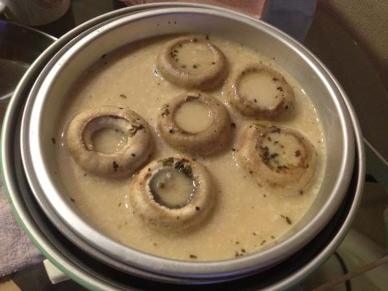 ��ζ�������˾Ģ��������