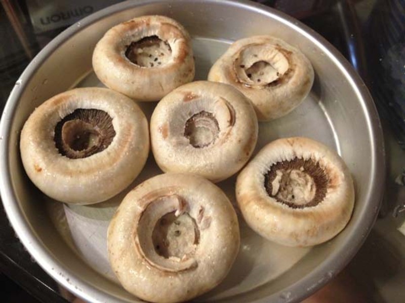 ��ζ�������˾Ģ��������