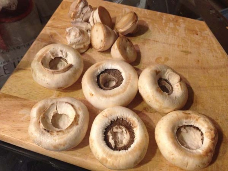 ��ζ�������˾Ģ��������