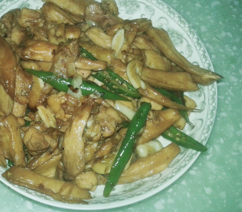 �ӱ����������������