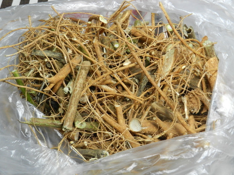 ��β�����������