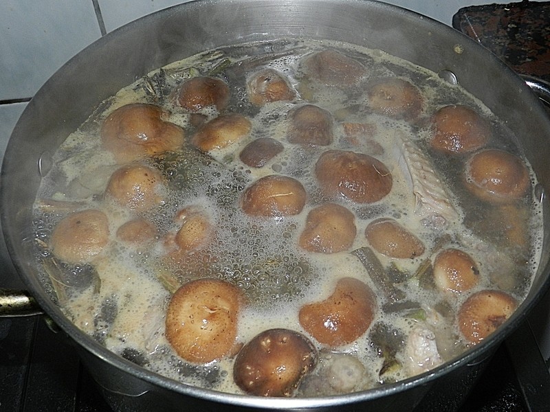 ��β�����������