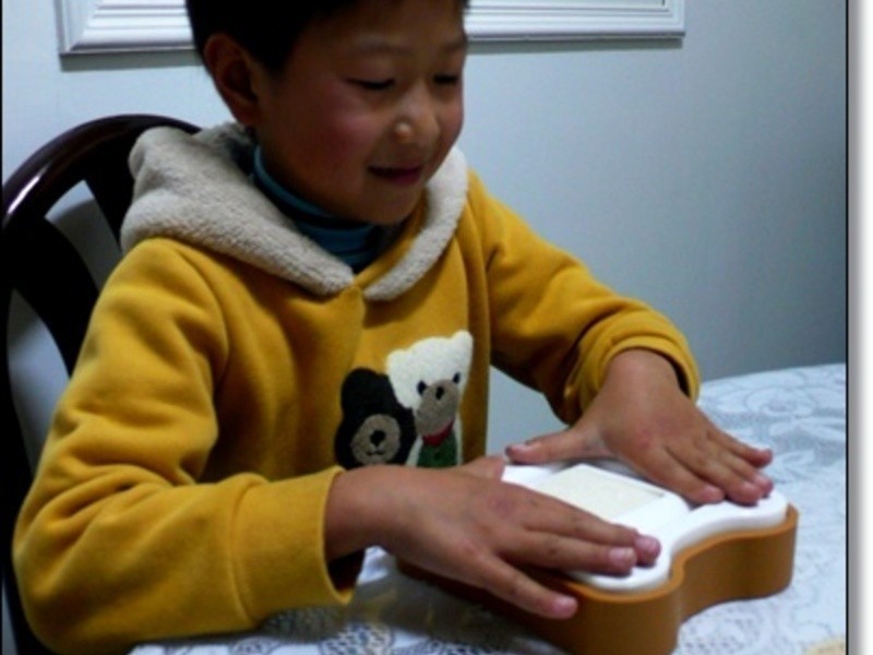 ��ݮ��˾��---��ݮ�Ͱ�ӥ�����̵�����