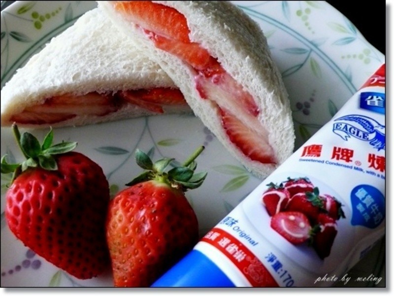 ��ݮ��˾��---��ݮ�Ͱ�ӥ�����̵�����