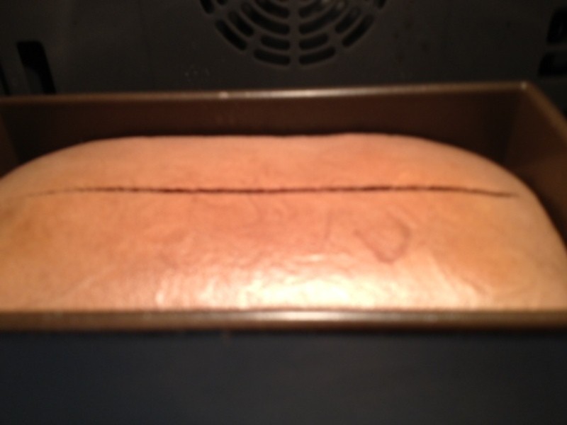 [Witi?Kitchen]�ɿ���������˾������