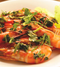 Ҭ�����⳴Ϻ������