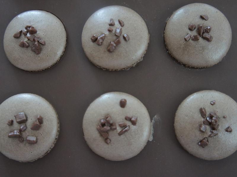 ����Ũ���ɿ���������������