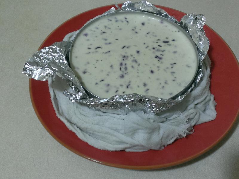 ��ݮ�Ÿ����� (�⿾)������