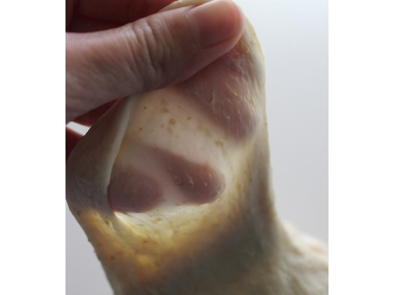 �`�����������