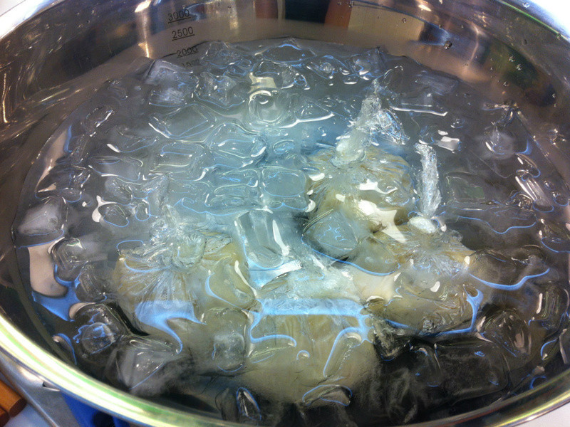 ���鶹��������