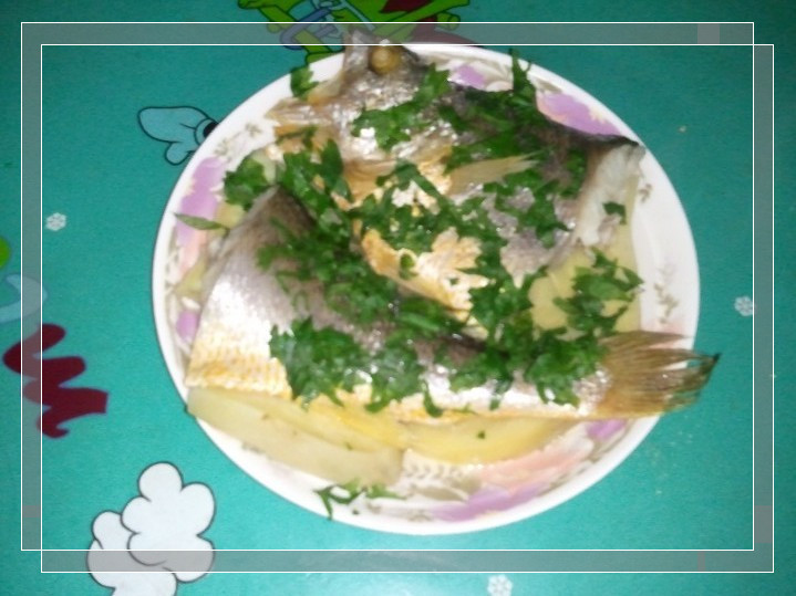 ����عϵ�����