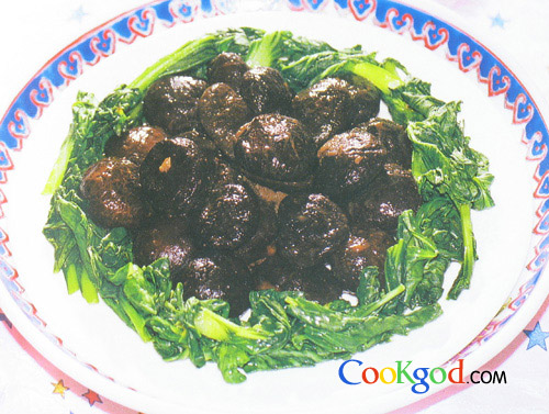 �������ӵ�����