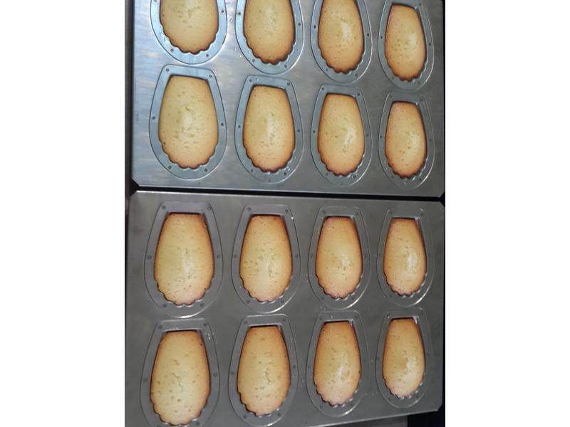 ����������������������