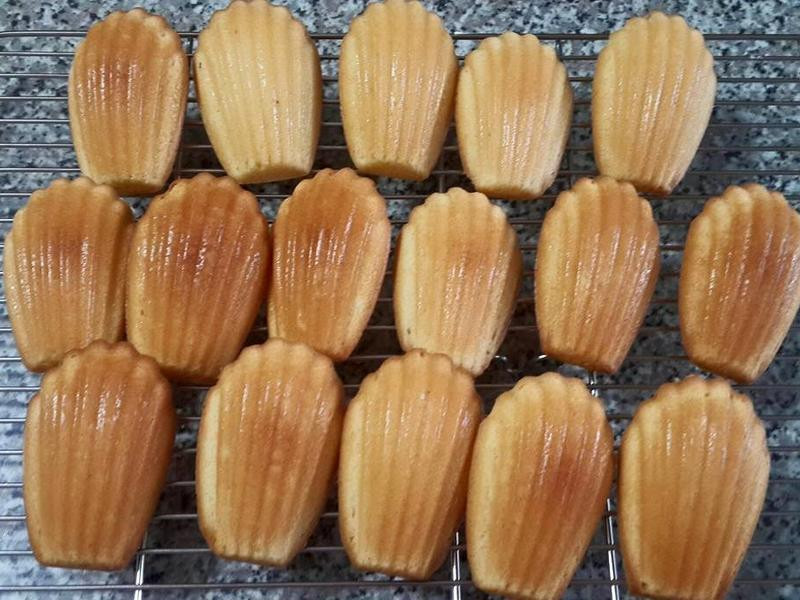 ����������������������