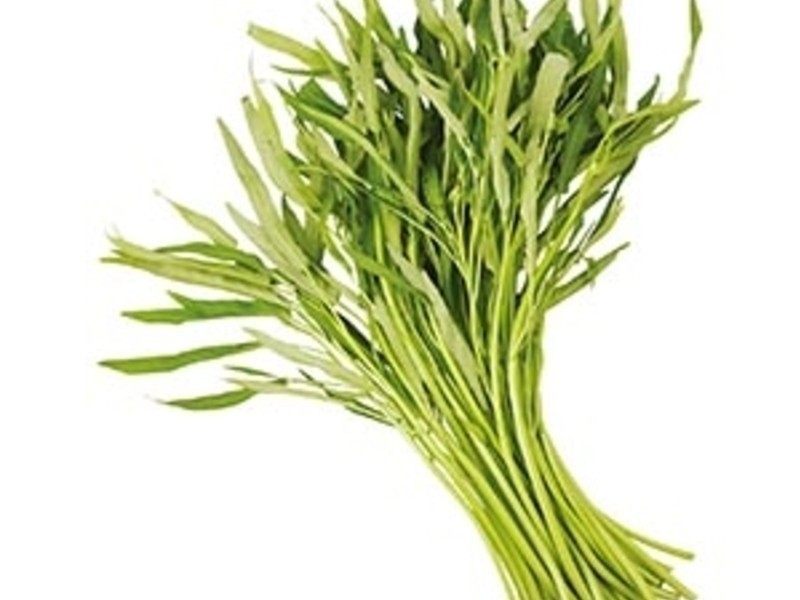 Ϻ�������Ĳ˵�����