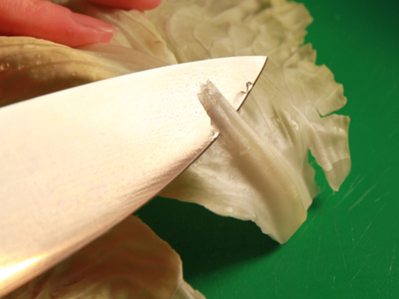 �˱�����������