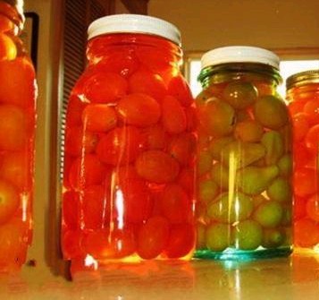 ËÕÁªÅÝÎ÷ºìÊÁµÄ×ö·¨