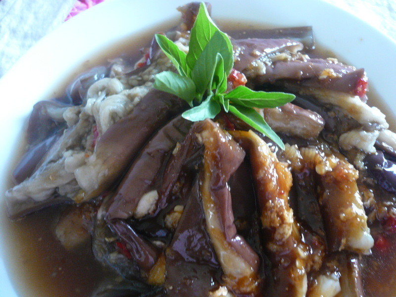 ���տ�θС��ͬ�ֻᩤ�����������ӵ�����