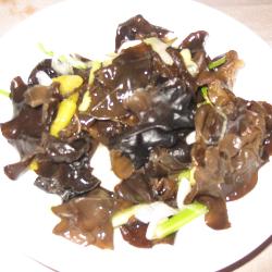 �ݽ�ľ��������