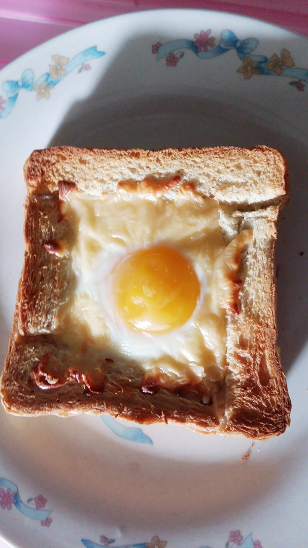 ��֥ʿ�������������