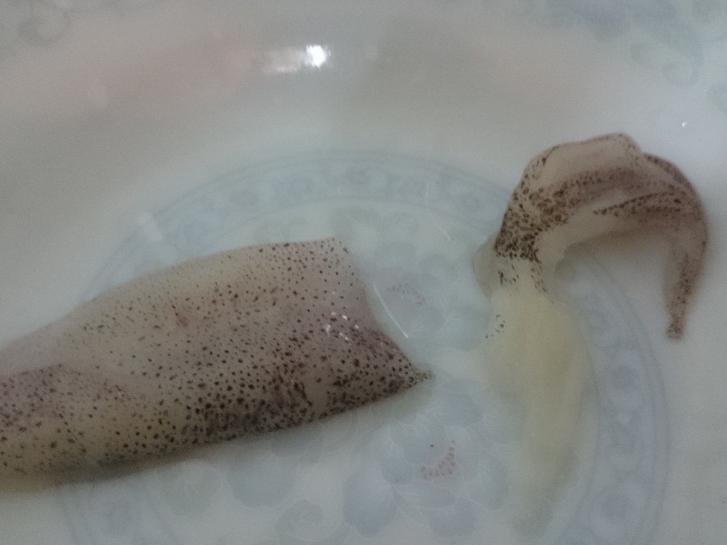 ��˿С����������ζ¶��������