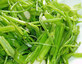 �����Ĳ˵�����