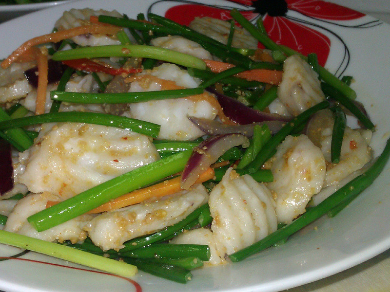 �²��ʳ���֦Ƭ������