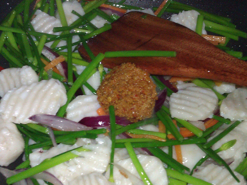 �²��ʳ���֦Ƭ������