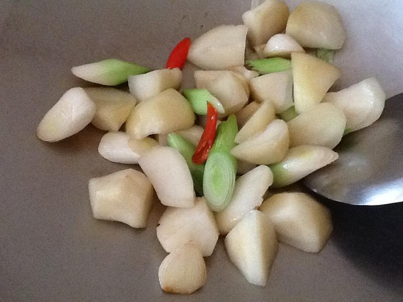 ���罴��������������