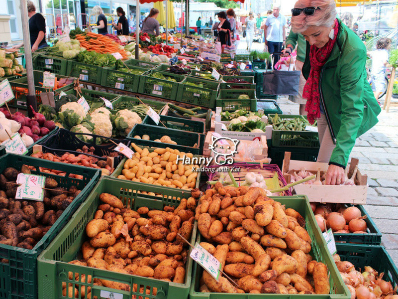 �㿾�������ǵ�����