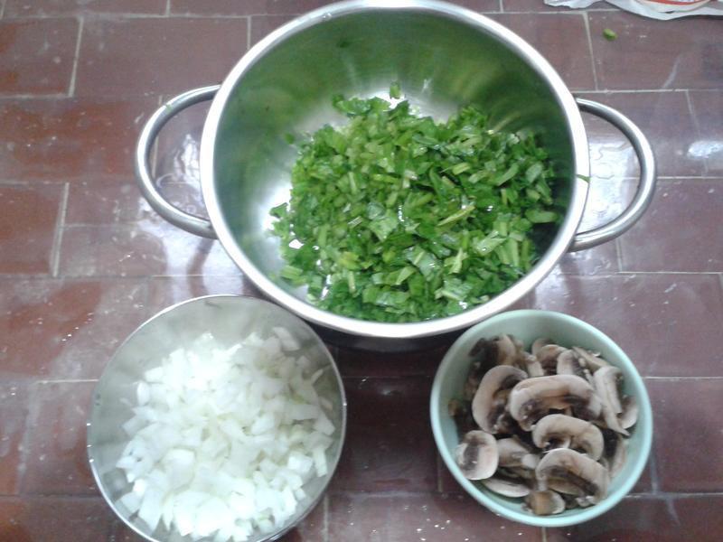 ��԰������� ����Ȫ���顿������