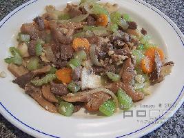 �����Ӿ�����Ƭ������