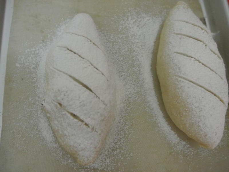 �عϺ������������