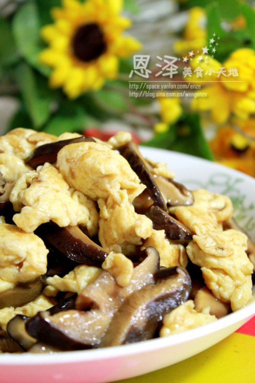 �㹽������������