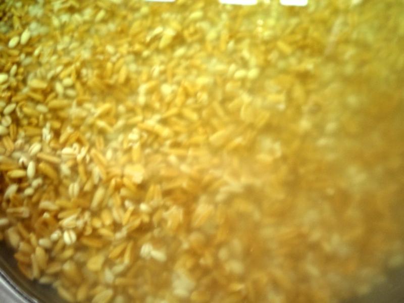 Ϻ�����󳴷�������