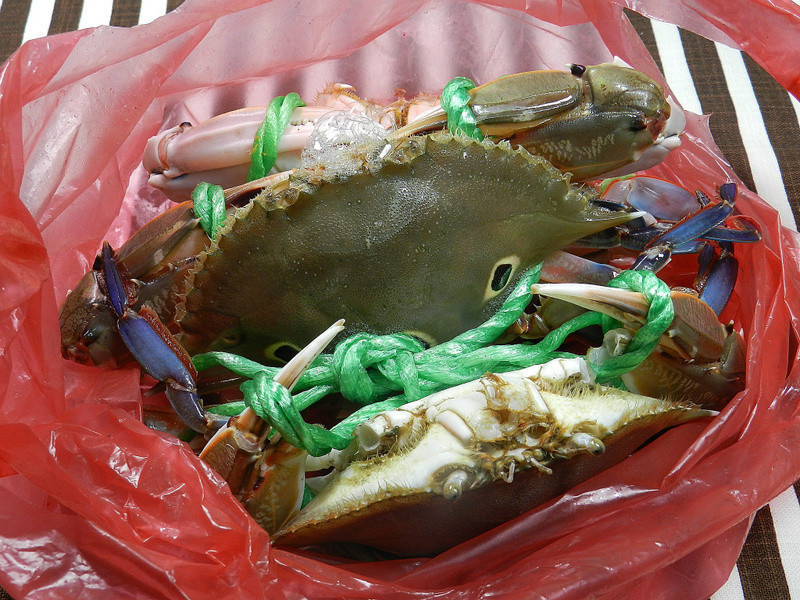 �������ǻ����ù�~������з������