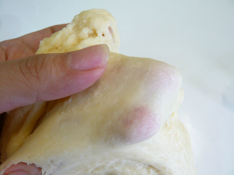 ��ĩ�������� ~Daisy���������