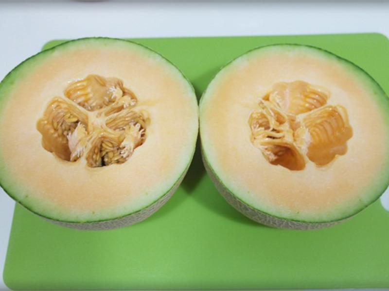 �����!!���ܹ�ţ��ѩ����������������Ʒ������