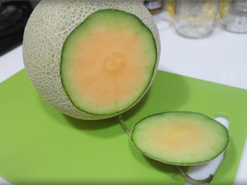 �����!!���ܹ�ţ��ѩ����������������Ʒ������