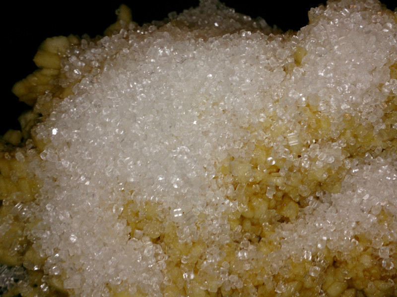 ����ƻ����������