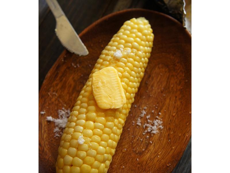 ViVi - �ں������������׵�����