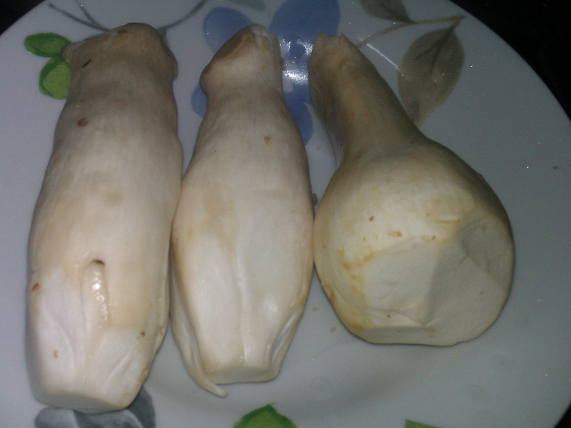 �����ӱ�������������