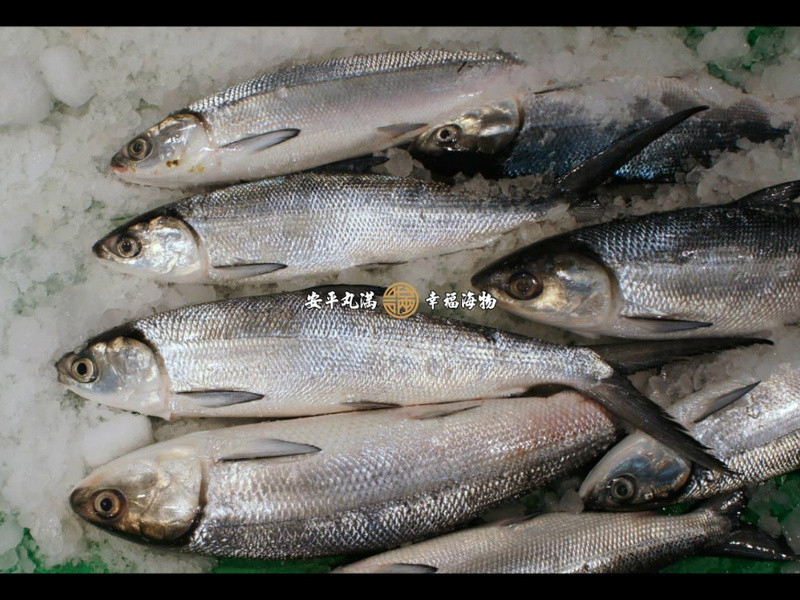 ԭζ�����ˮʭĿ�������