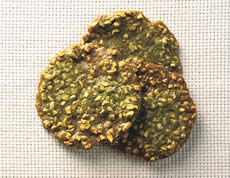 �̲象��������