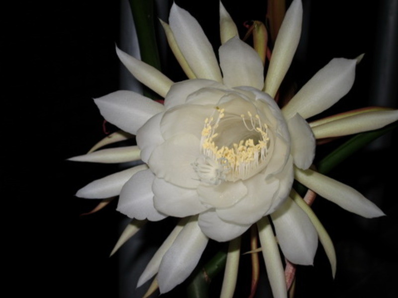 꼻�������������